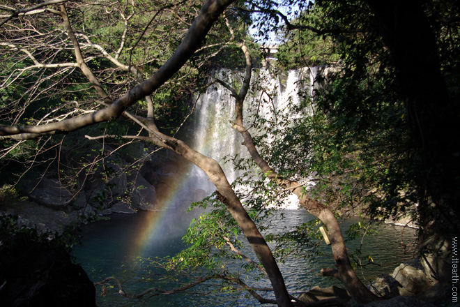 제주 천제연 폭포