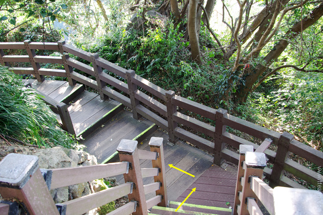 제주 천제연 폭포