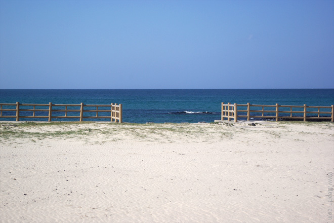 제주 곽지 과물 해변