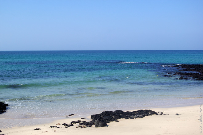 제주 곽지 과물 해변