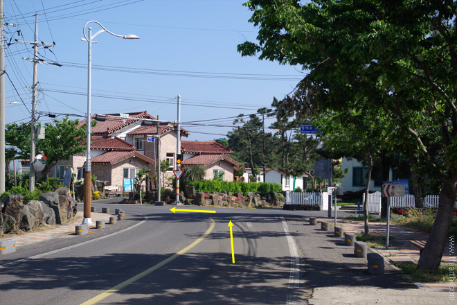 제주 협재 해변