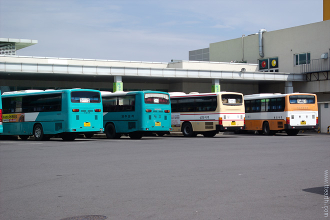 서귀포 시외 버스 터미널